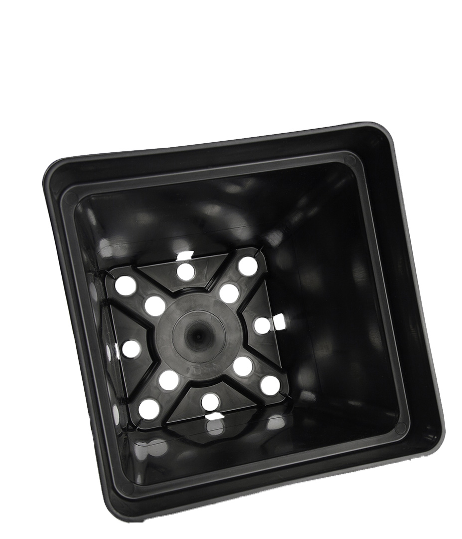 Growversand töpfe-7l oben