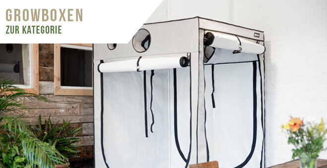 Growboxen, Growschraenke und Growzelte Alle qualitativ hochwertige Marken Growboxen und Growzelte zu einem guenstigem Preis