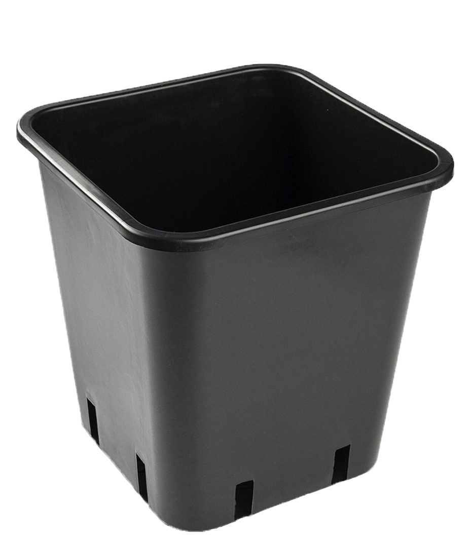 Growversand töpfe 11l perspektive