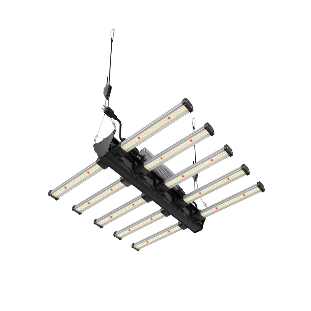 Growversand F.O.G Black Series 320 2