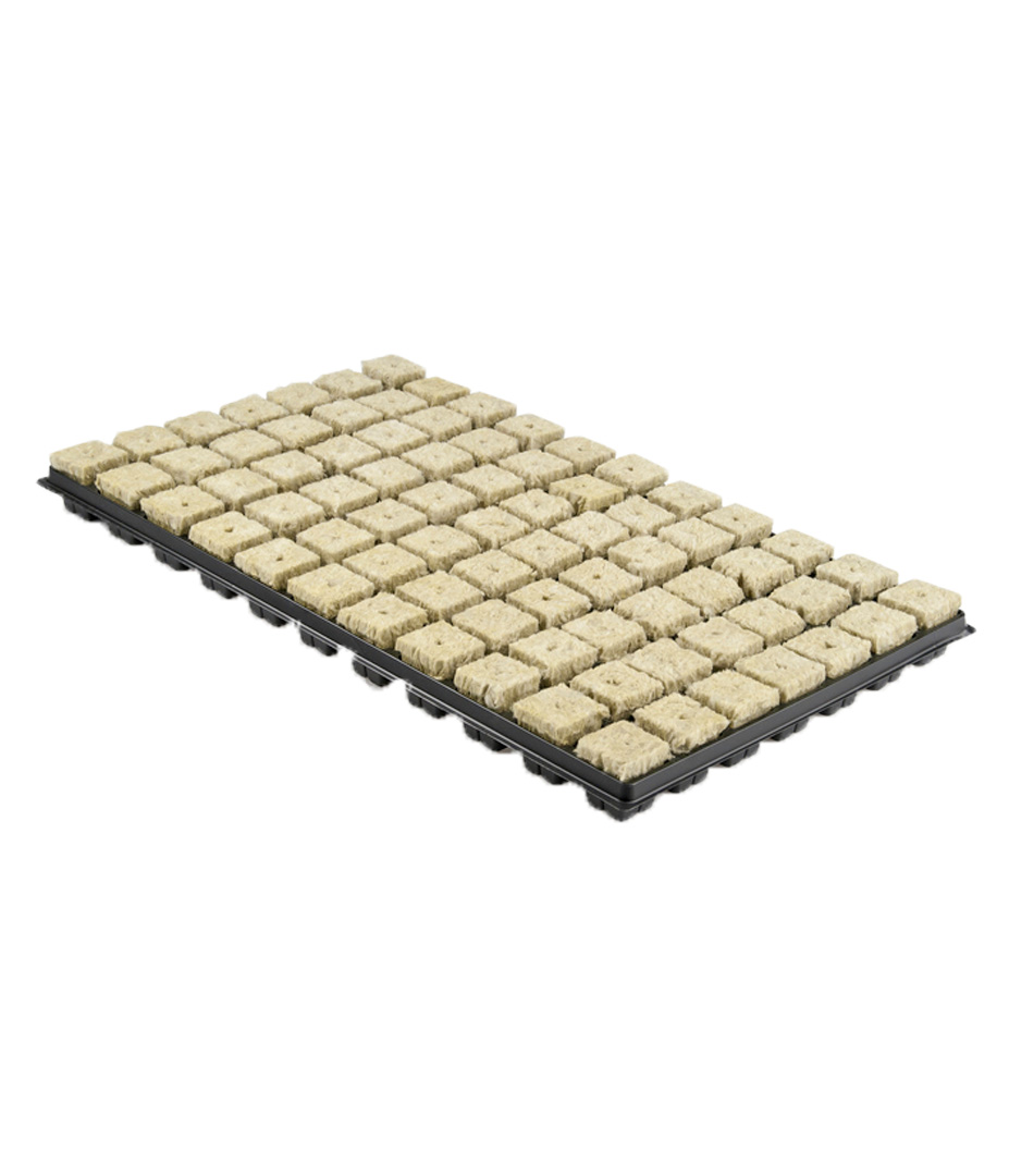 Grodan Anzucht-Tray mit 77 Würfeln à 35 x 35 x 40 mm Growversand steinwolle gordan matte 36x36 77er tray