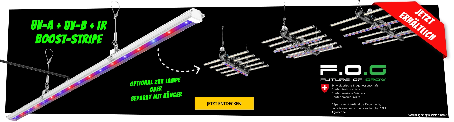 Growversand Banner F.O.G Desktop