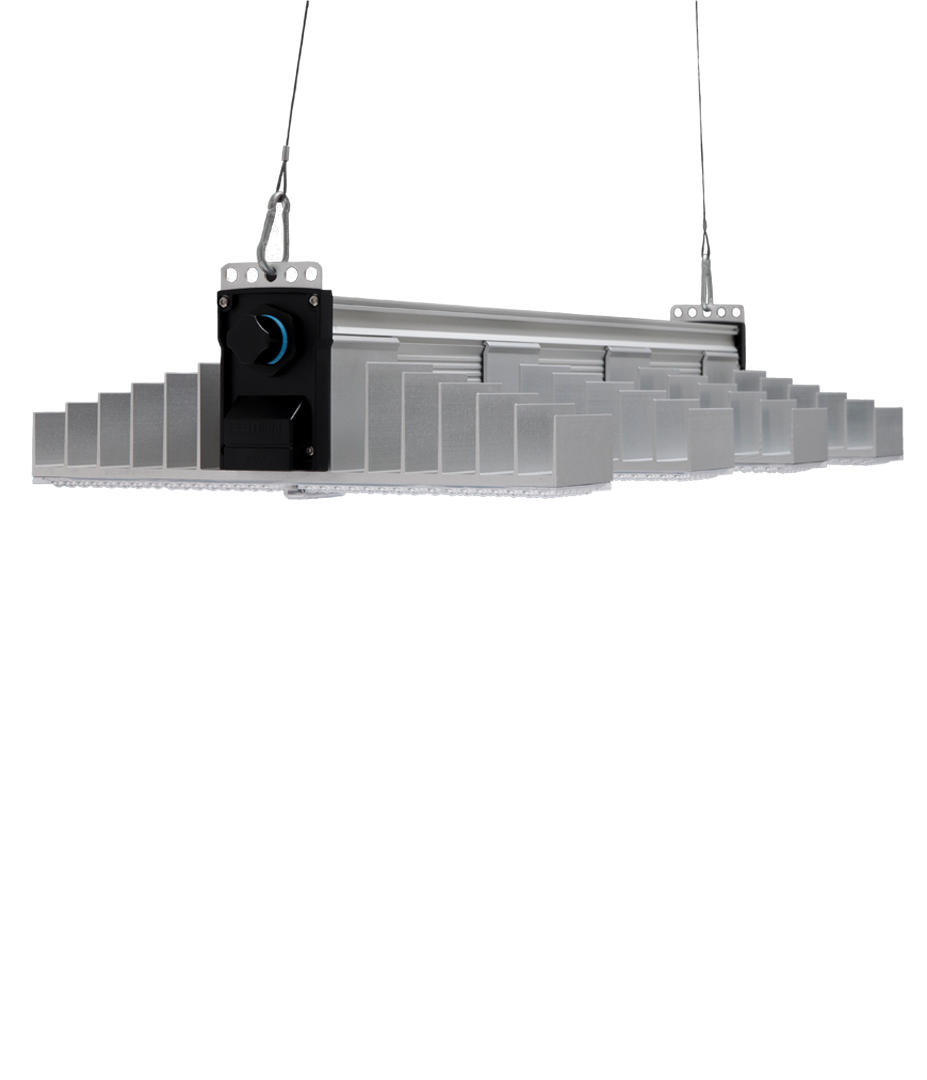 SANlight EVO 4-80 1.5 265W - Einzeln: Fortschrittliche LED-Technologie für deine Grow-Box Growversand sanlight Evo 4-80 250W