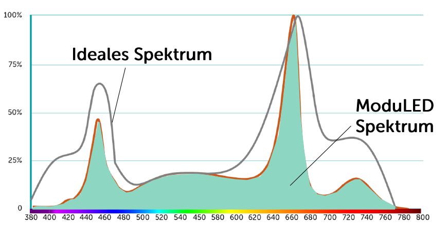 ModuLED Spektrum 2