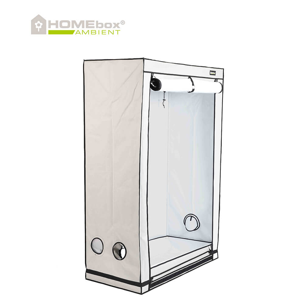 Homebox Ambient R120S: Dein Einstieg in die effiziente Indoor-Gärtnerei