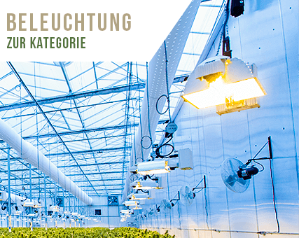 Growlampen Beleuchtung Jede Pflanze ins richtige Licht rücken egal ob mit LED oder NDL Lampen