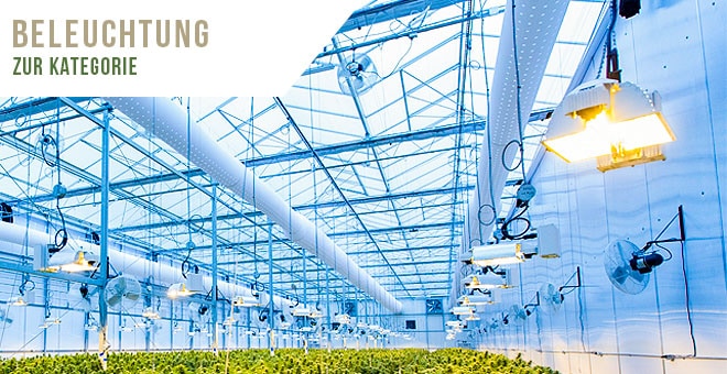 growversand grow beleuchtung growversand grow beleuchtung