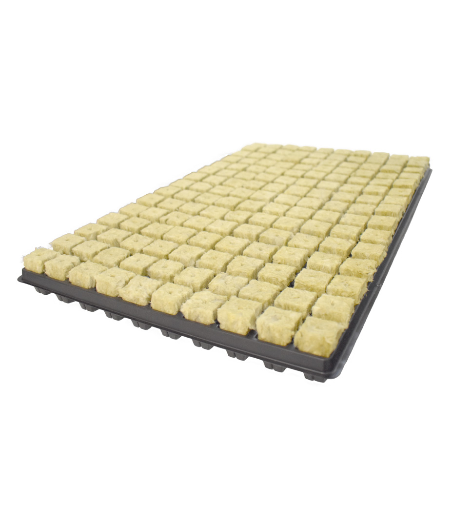 Grodan Anzucht-Tray mit 150 Würfeln à 25 x 25 x 40 mm Growversand steinwolle gordan matte 25x25 150er tray
