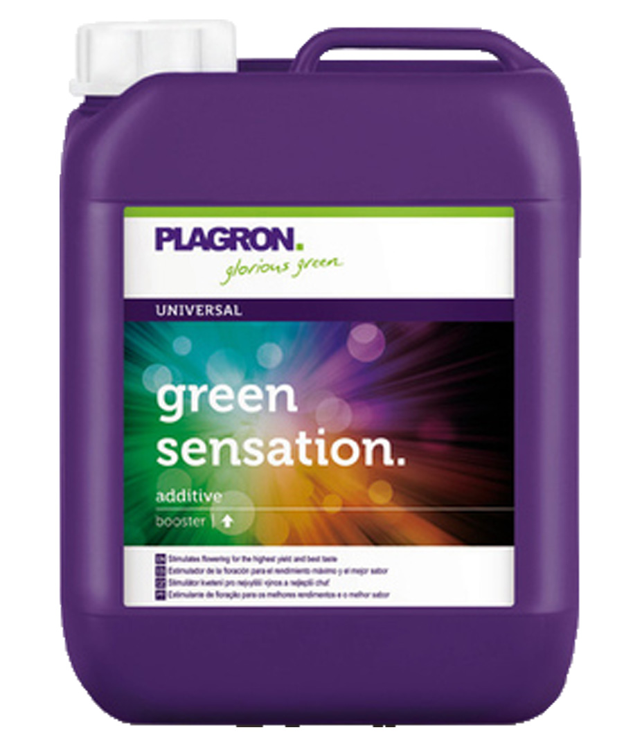 Growversand plagron green sensation 5l