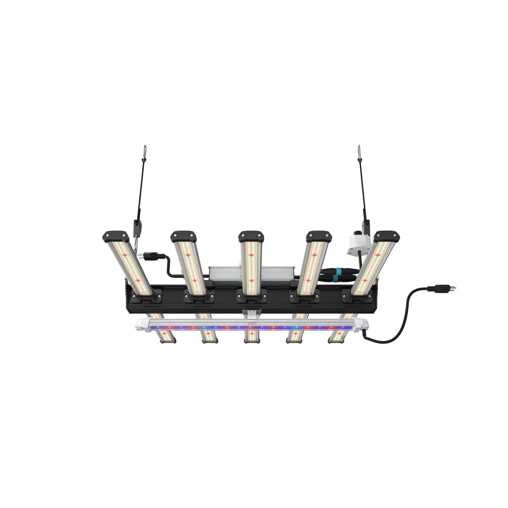 Growversand F.O.G 2xClip montiert 2