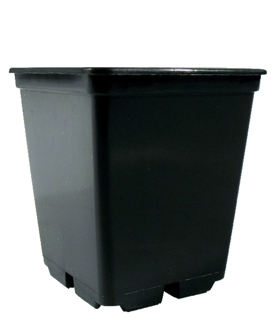 Growversand töpfe 0,25l