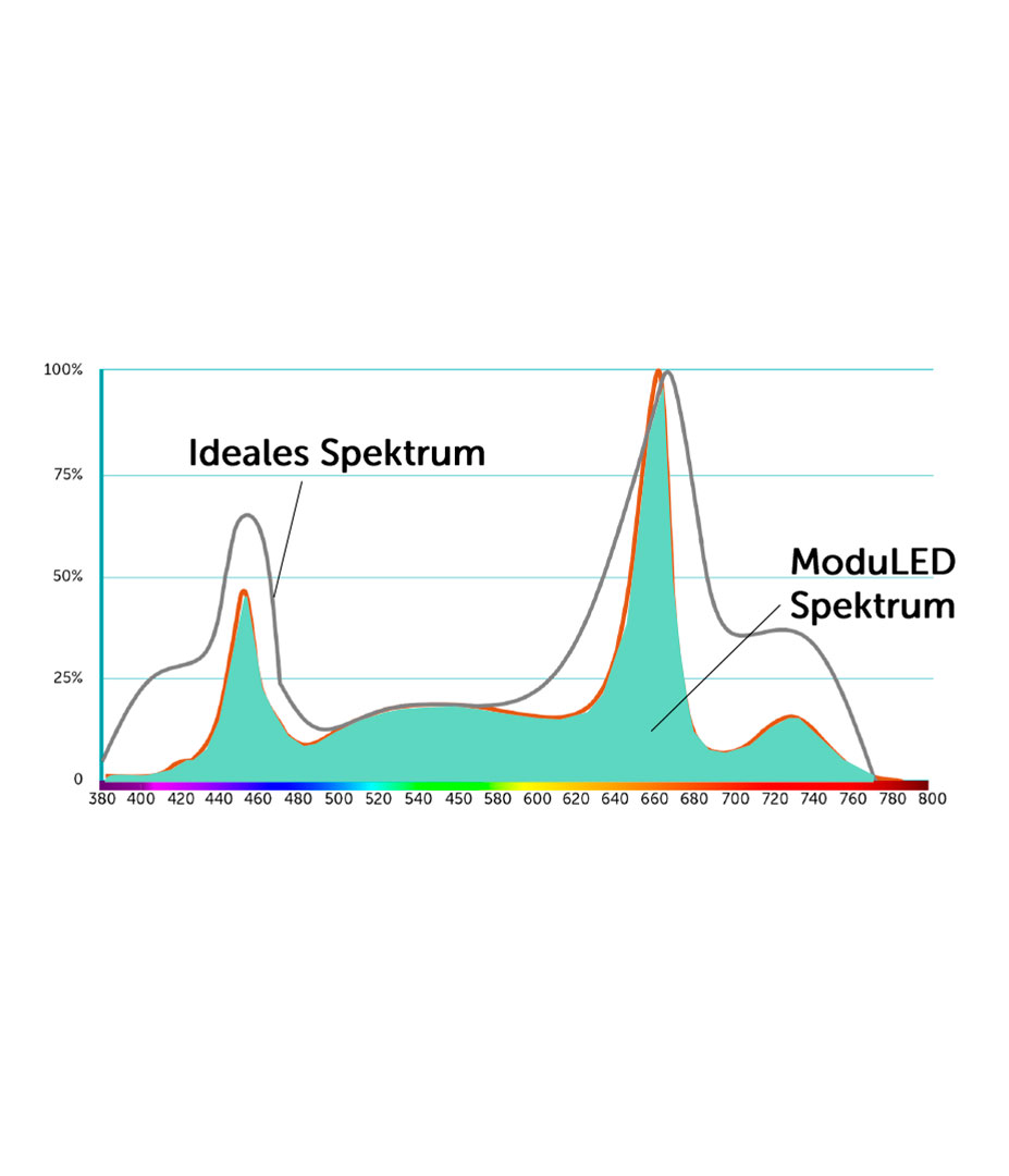 Growversand Plantlife ModuLED Spektrum2