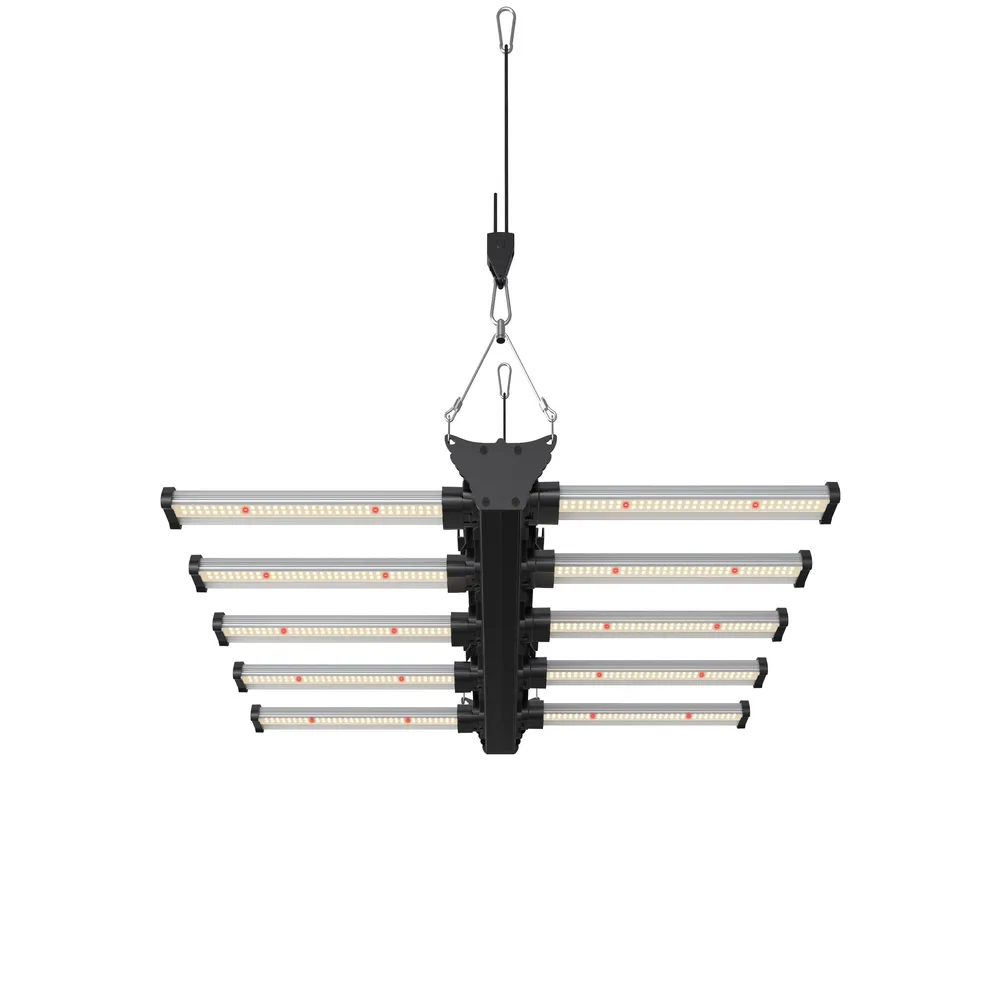 Growversand F.O.G Black Series 320 5