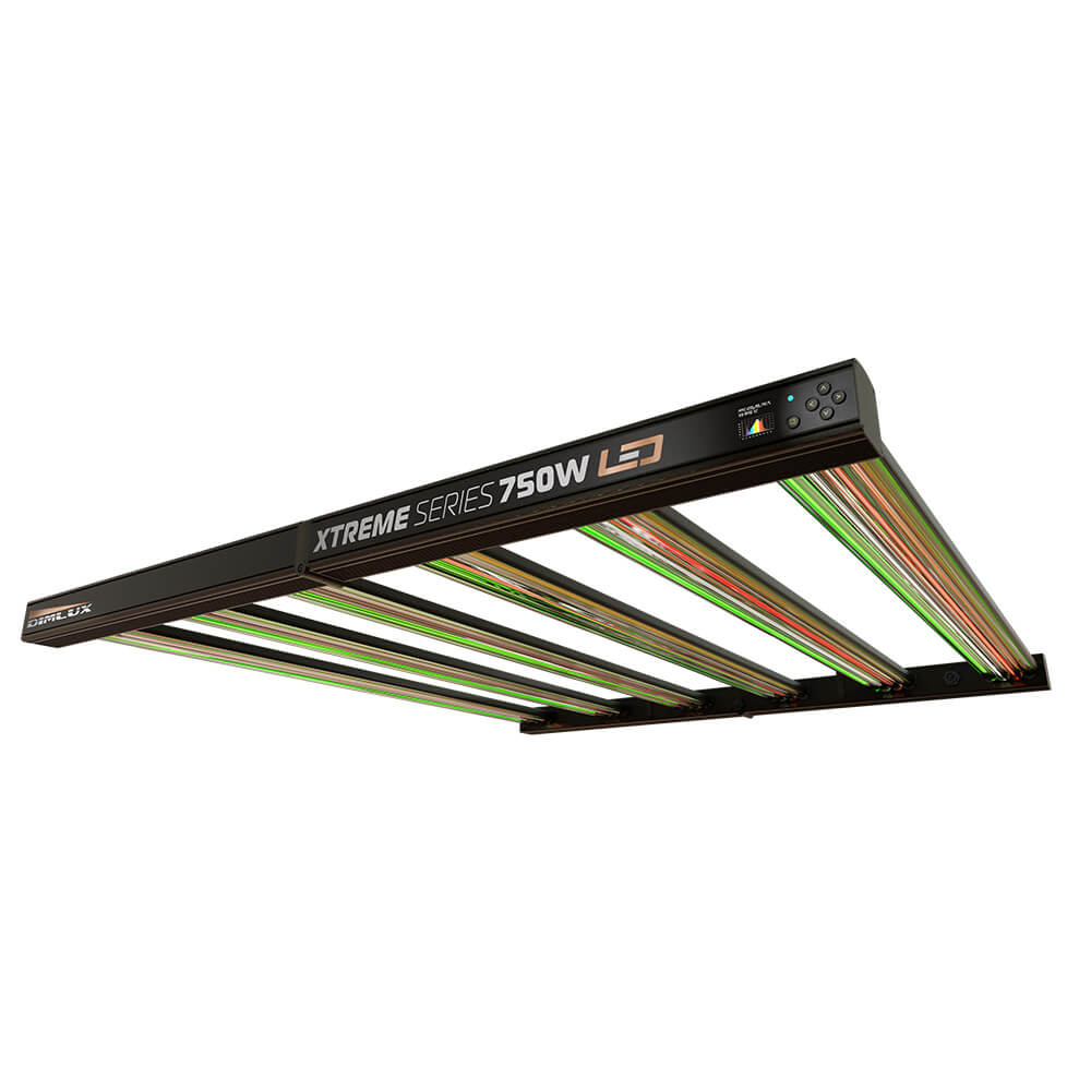 Dimlux Xtreme Series LED 750W Dimlux Xtreme Series LED 750W