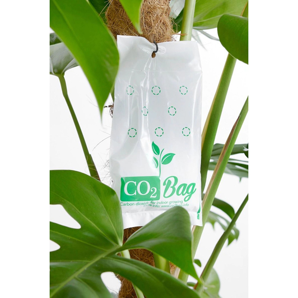 Growversand CO2 Bag mit Pflanze